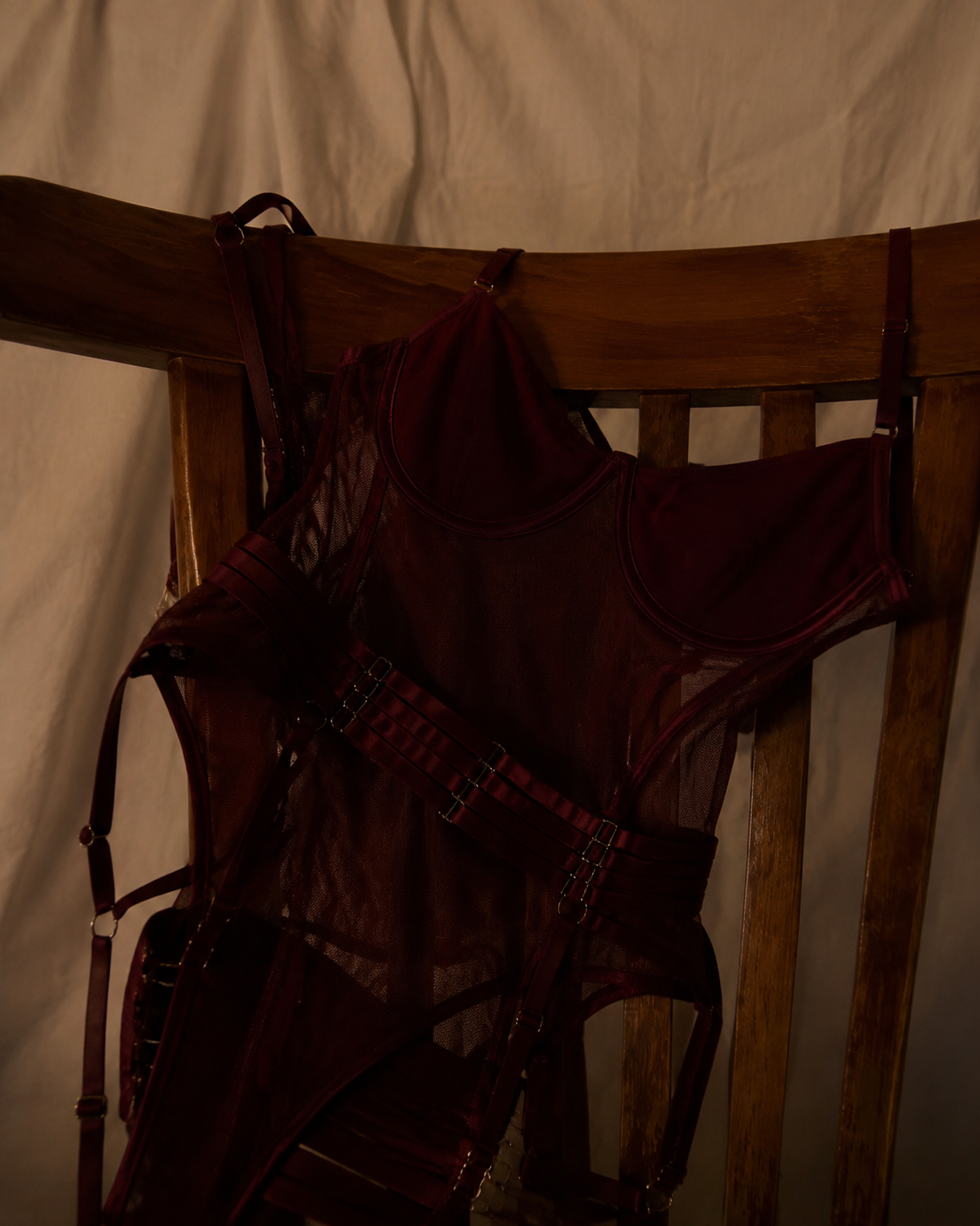 Burgundy Mesh Bodysuit 🍷✨