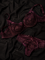 Ruby Lace Bra Set ❤️🌹