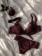 Ruby Lace Bra Set ❤️🌹