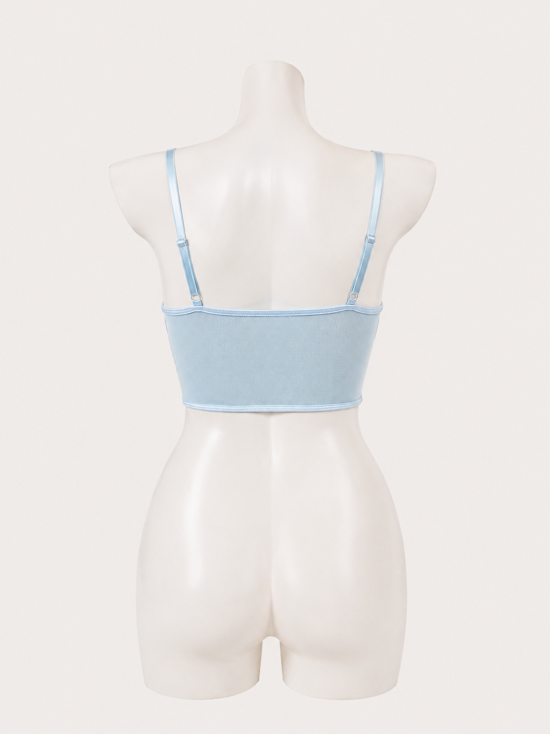 Fairy Blue Floral Embroidery Corset 💙🌸