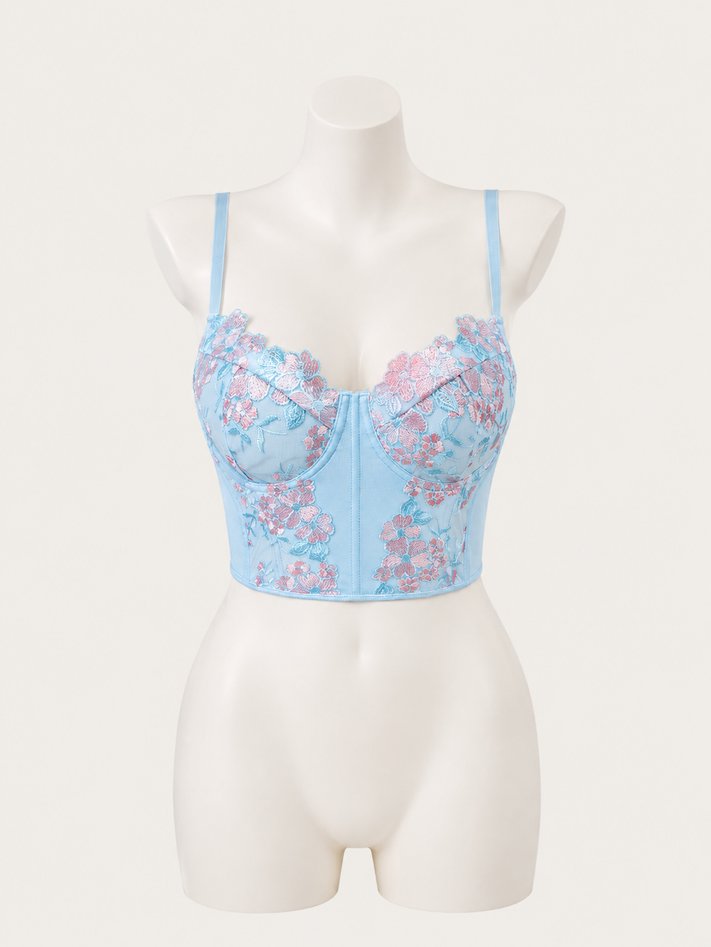Fairy Blue Floral Embroidery Corset 💙🌸